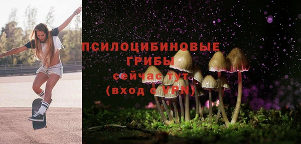 крисы Кинешма